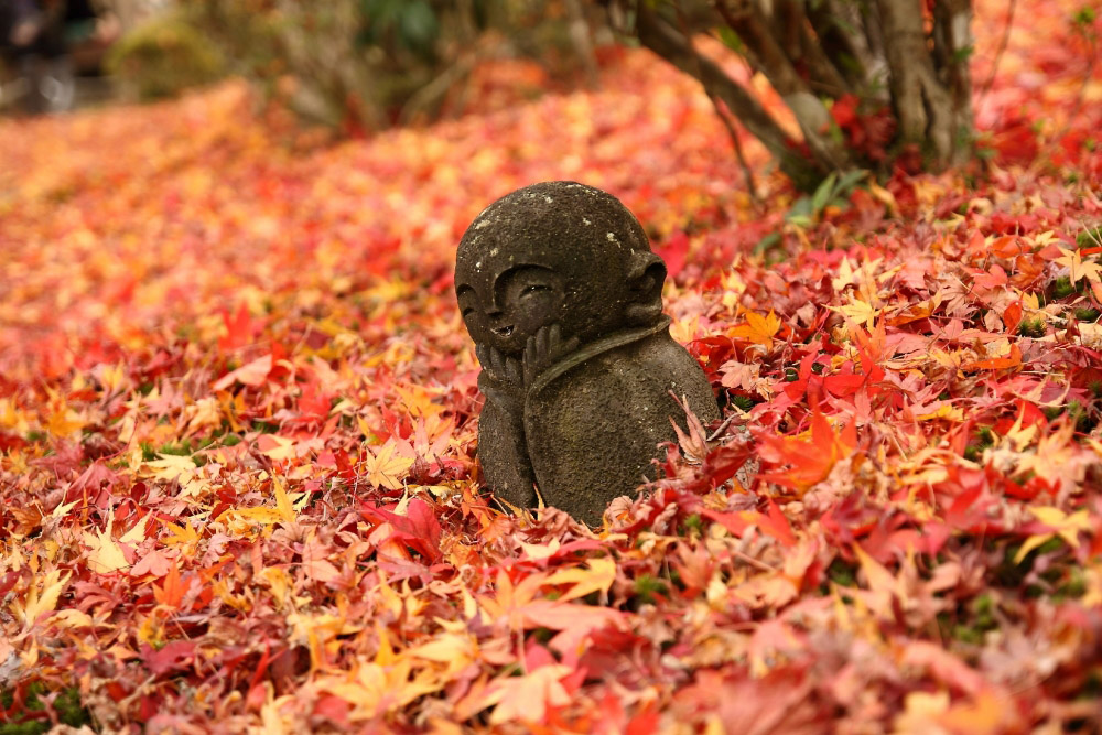 紅葉のなかの微笑み