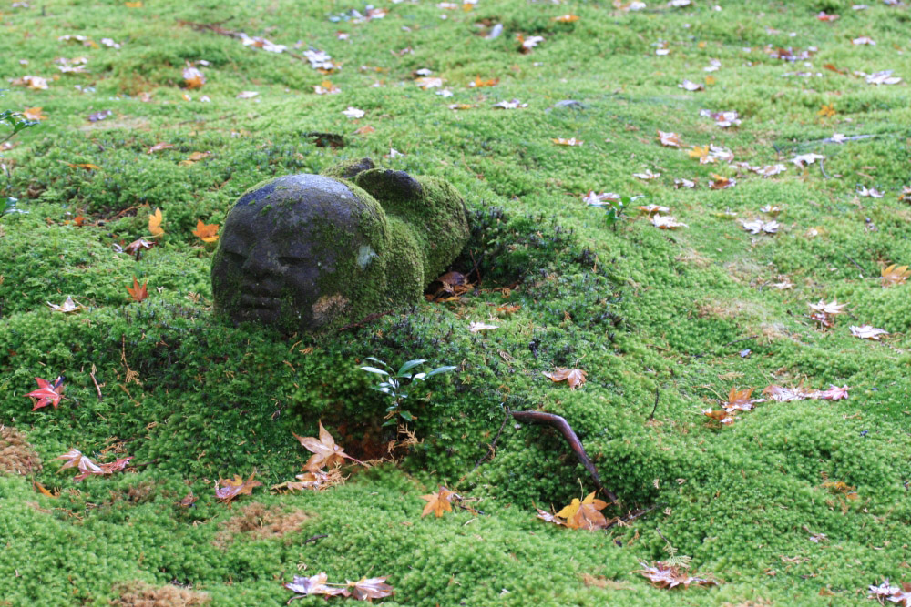 紅葉模様のお布団