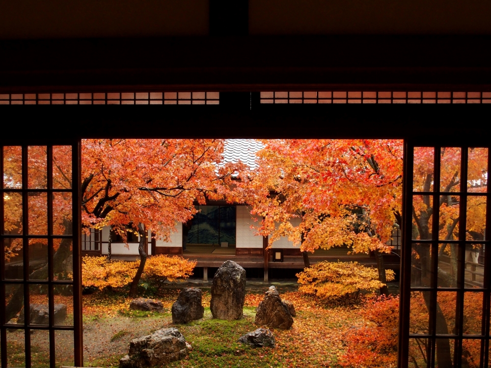 建仁寺の紅葉