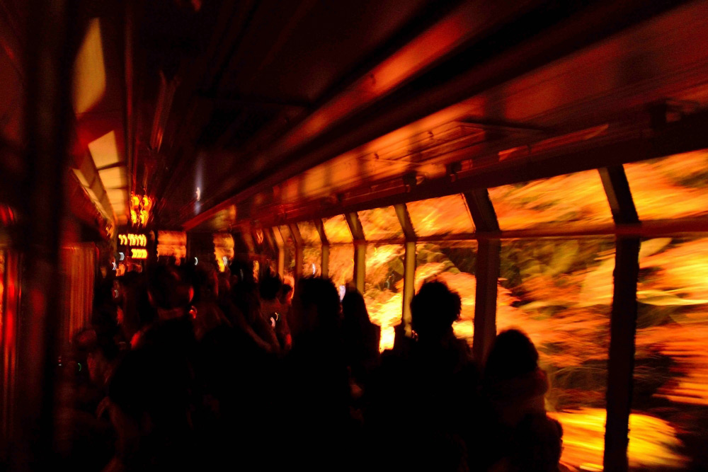 もみじのトンネル