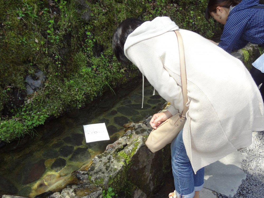 みずうらみくじ