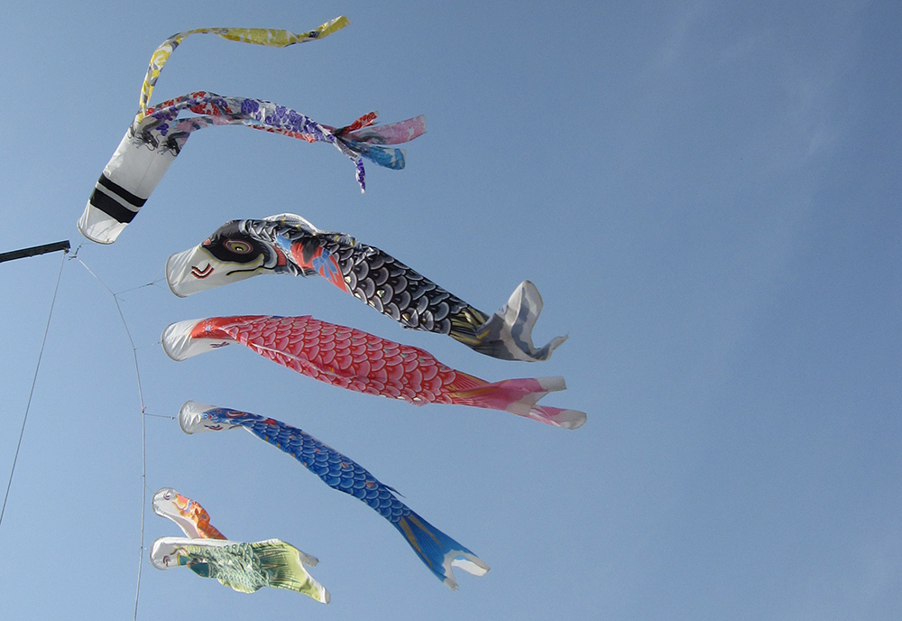 鯉のぼり