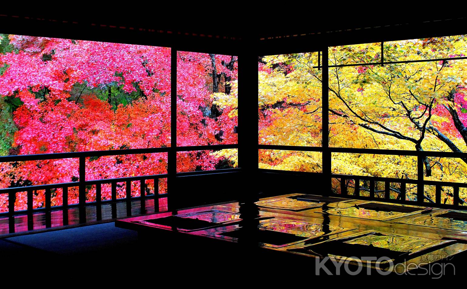 瑠璃光院の紅葉２