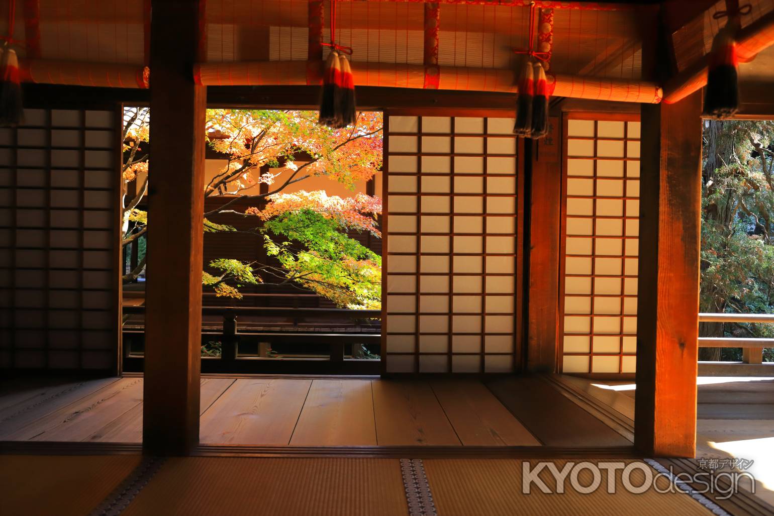 青蓮院の宸殿から見た紅葉