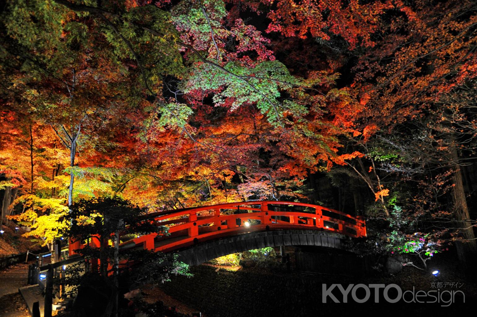鶯橋　ライトアップ