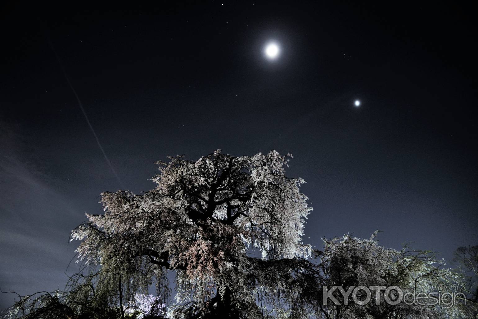 星と月と桜