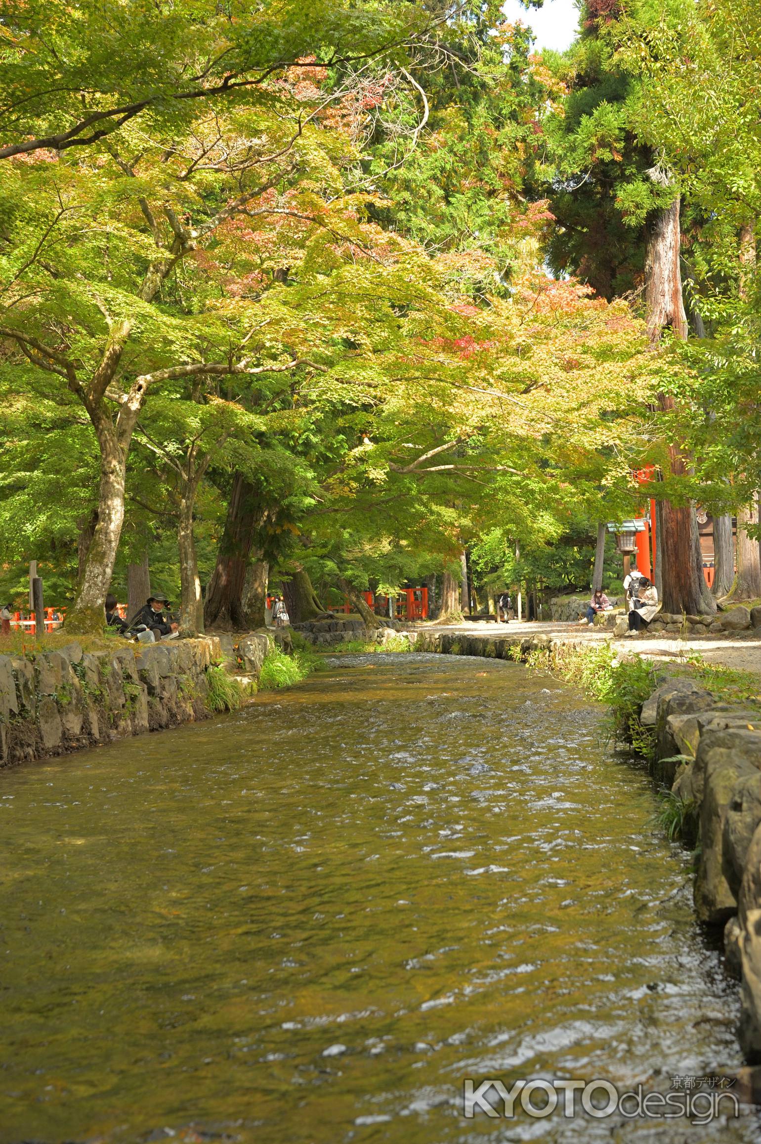 ならの小川　色づきはじめ