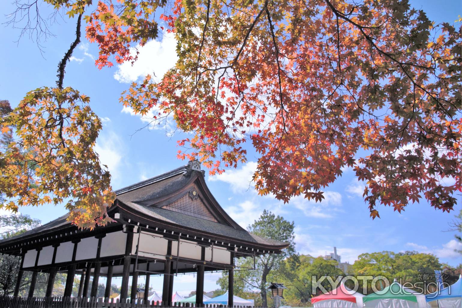 パンフェスと紅葉