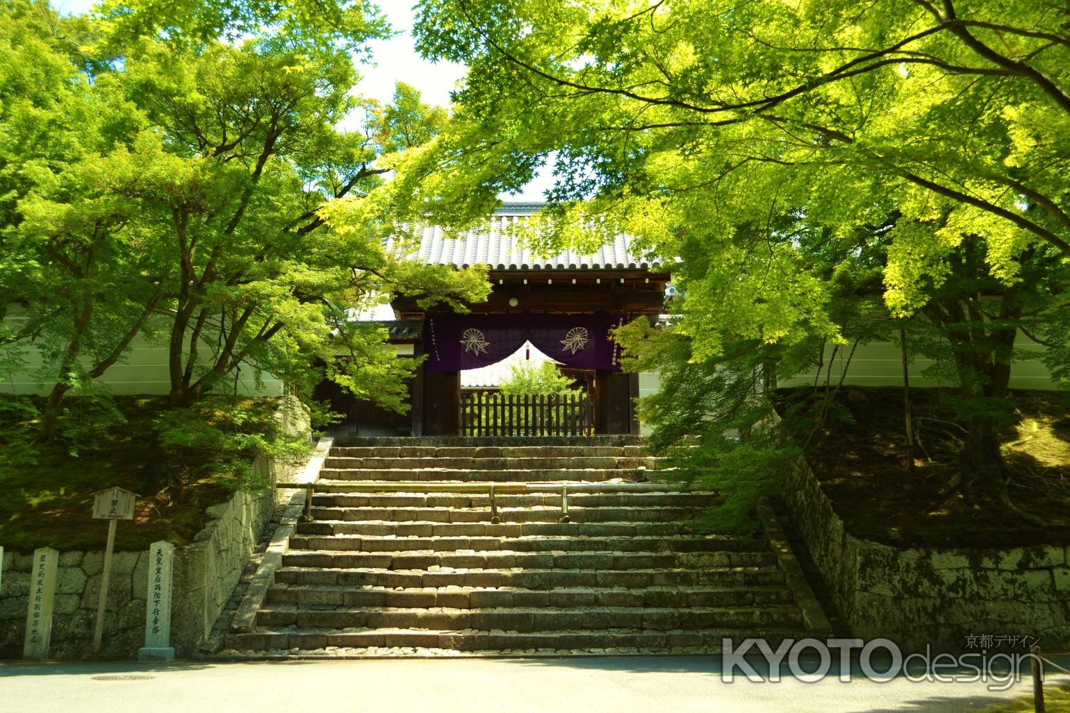 青もみじと勅使門