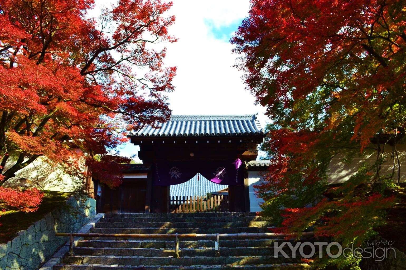 曼殊院　勅使門