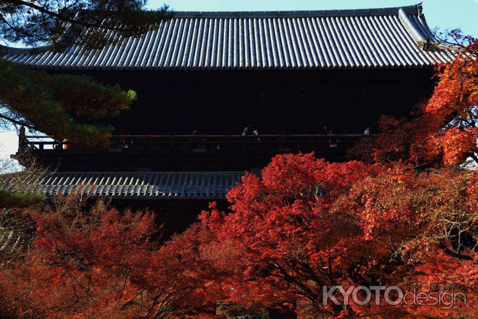 紅葉の三門　南禅寺