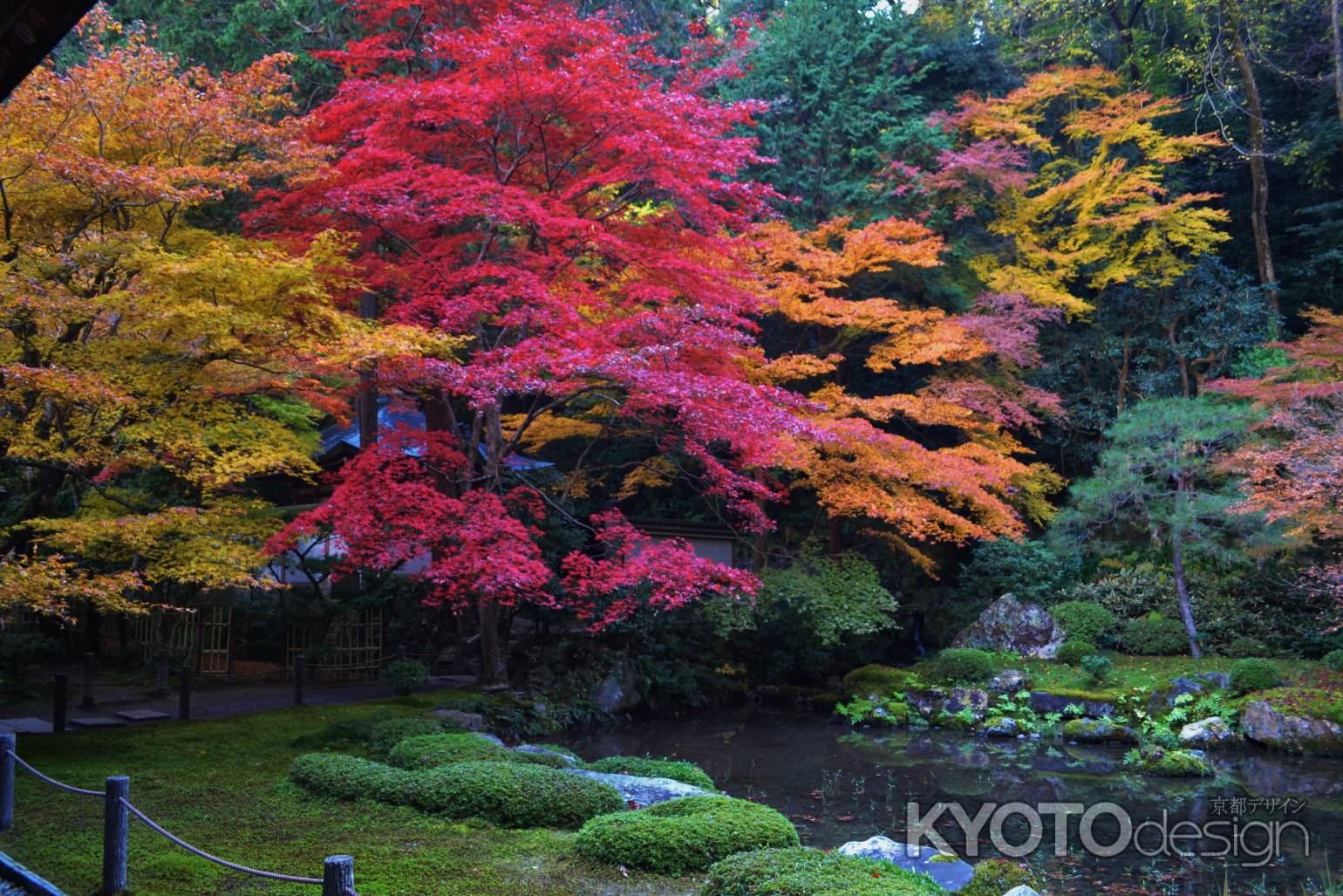 紅のグラデーション