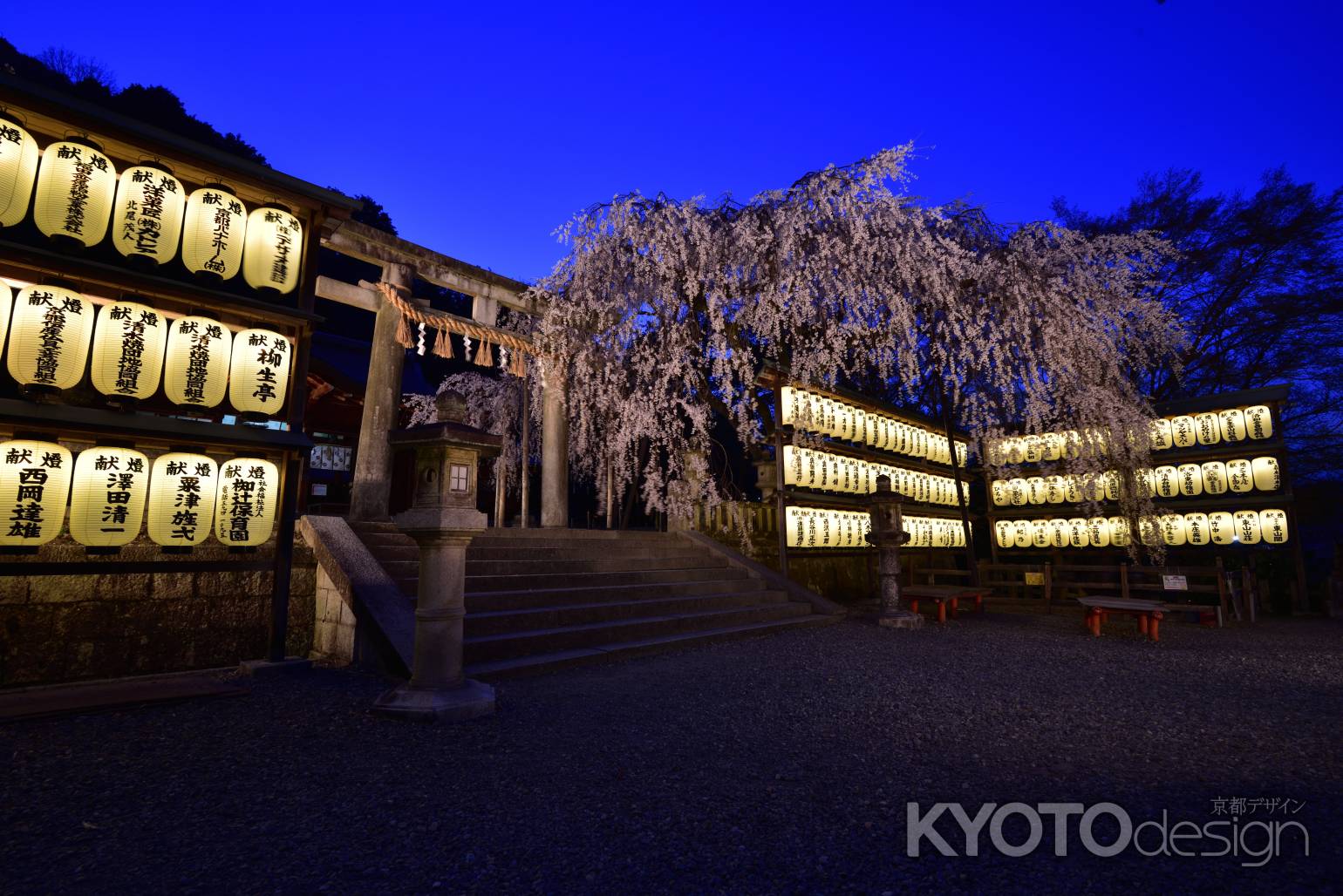 大石神社の枝垂れ桜下段