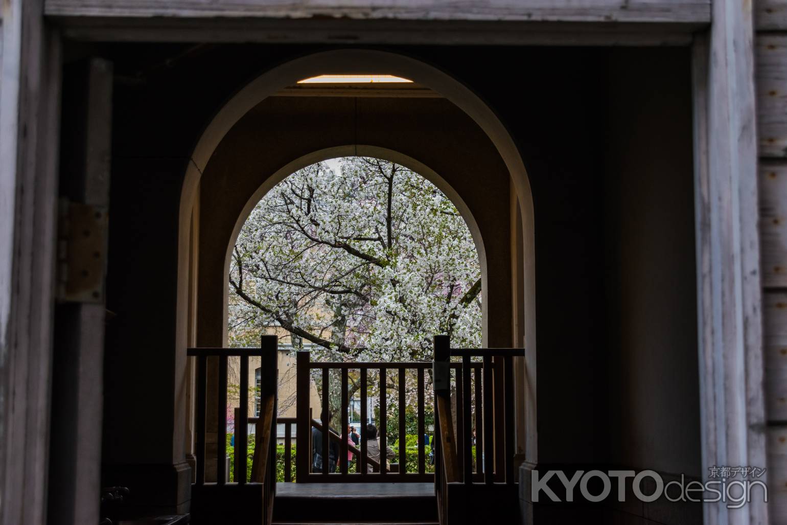 京都府庁旧本館、中庭に別れを告げる