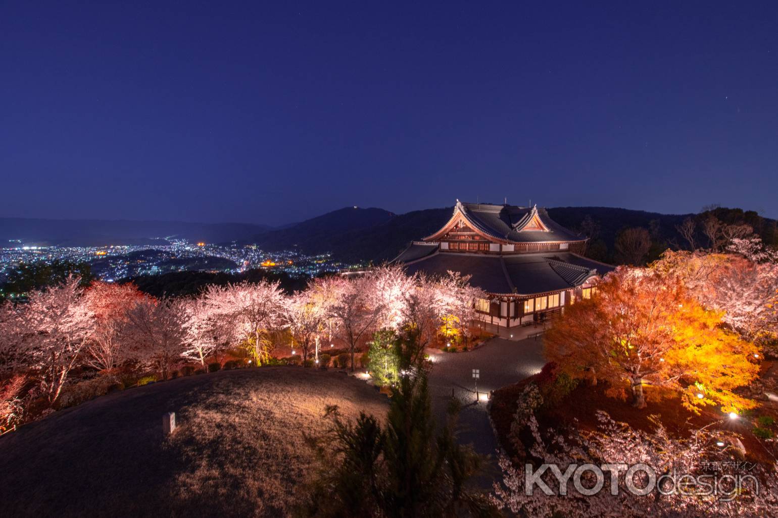 将軍塚　ライトアップ 2