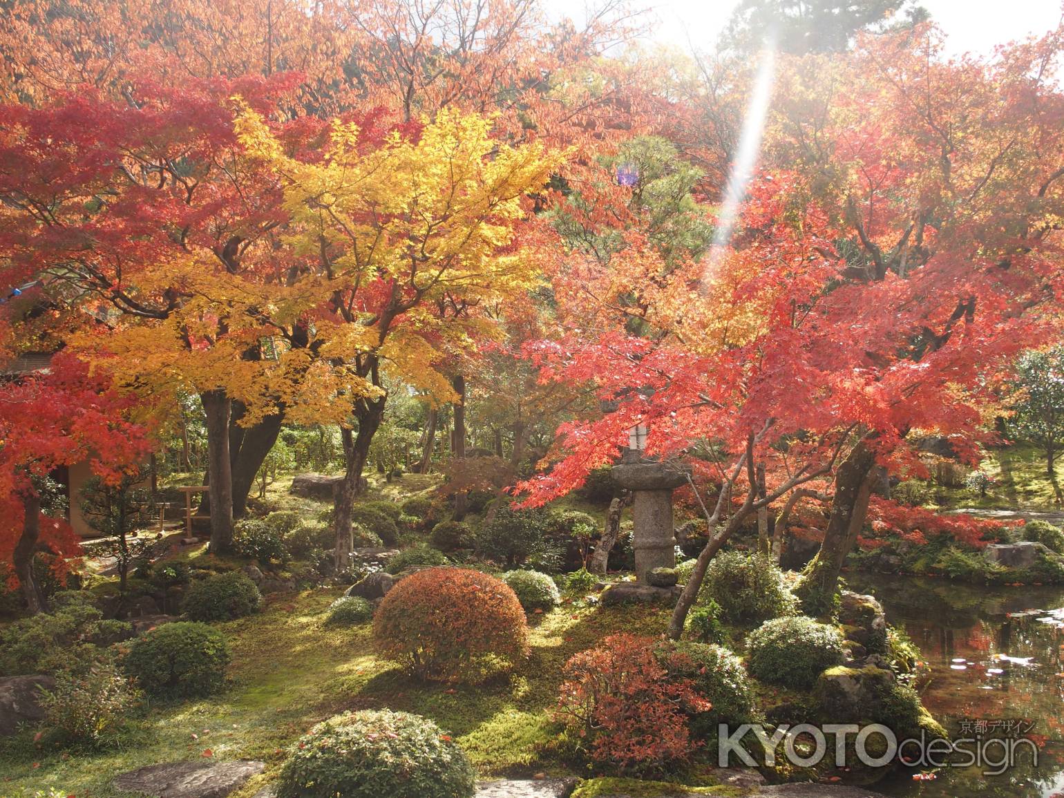 2019　盛秋　南禅寺　大寧軒　9