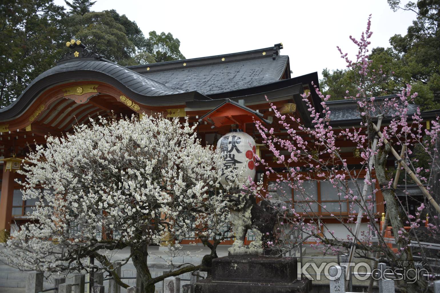 天満宮の紅白梅