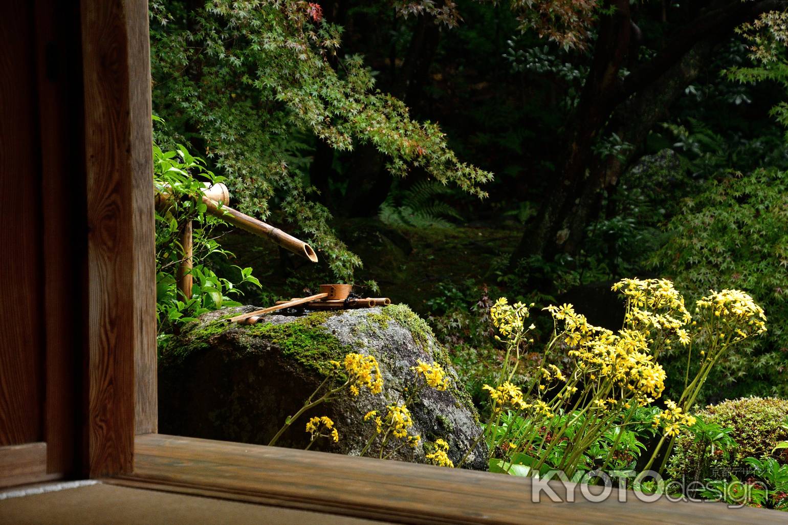 艶蕗、秋の花飾り