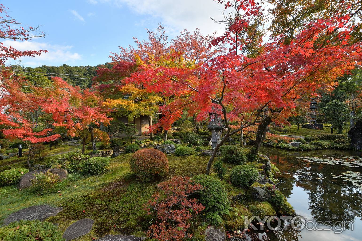 侘びの庭、秋深し