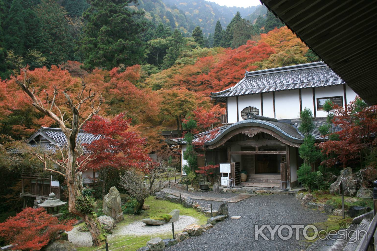 秋の古知谷阿弥陀寺