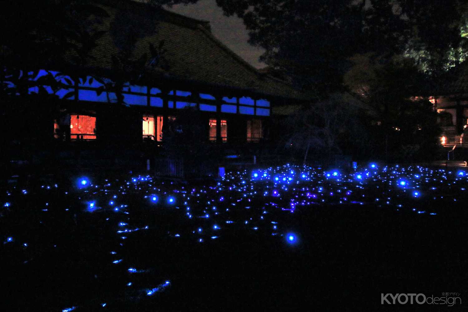 東山花灯路５、青蓮院