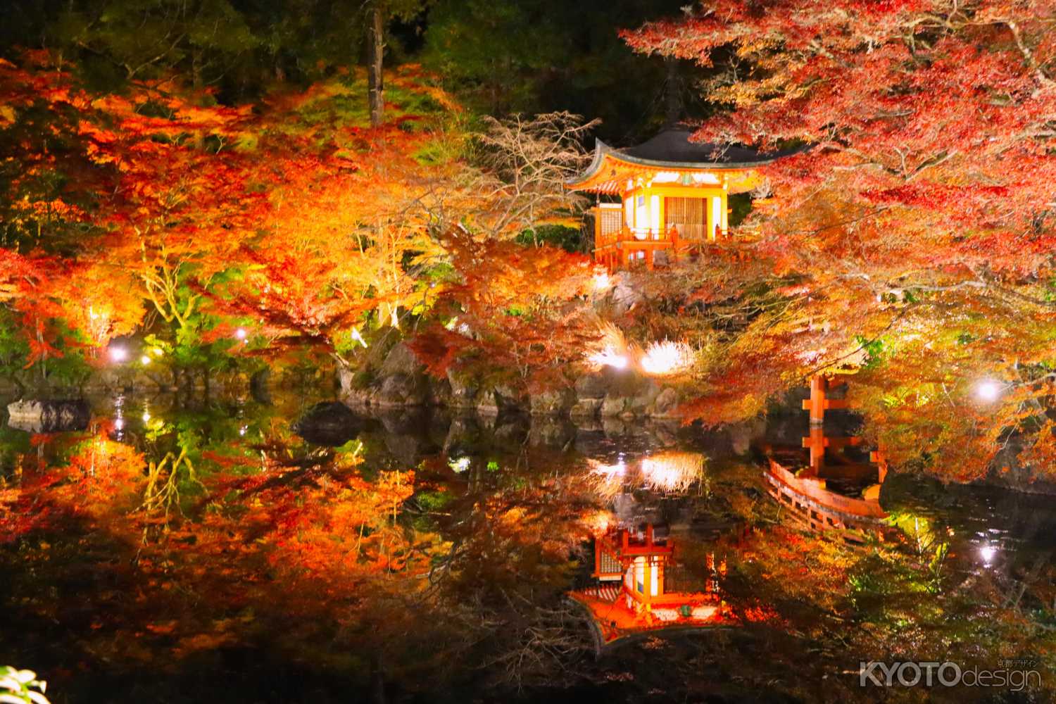醍醐寺 秋期夜間拝観