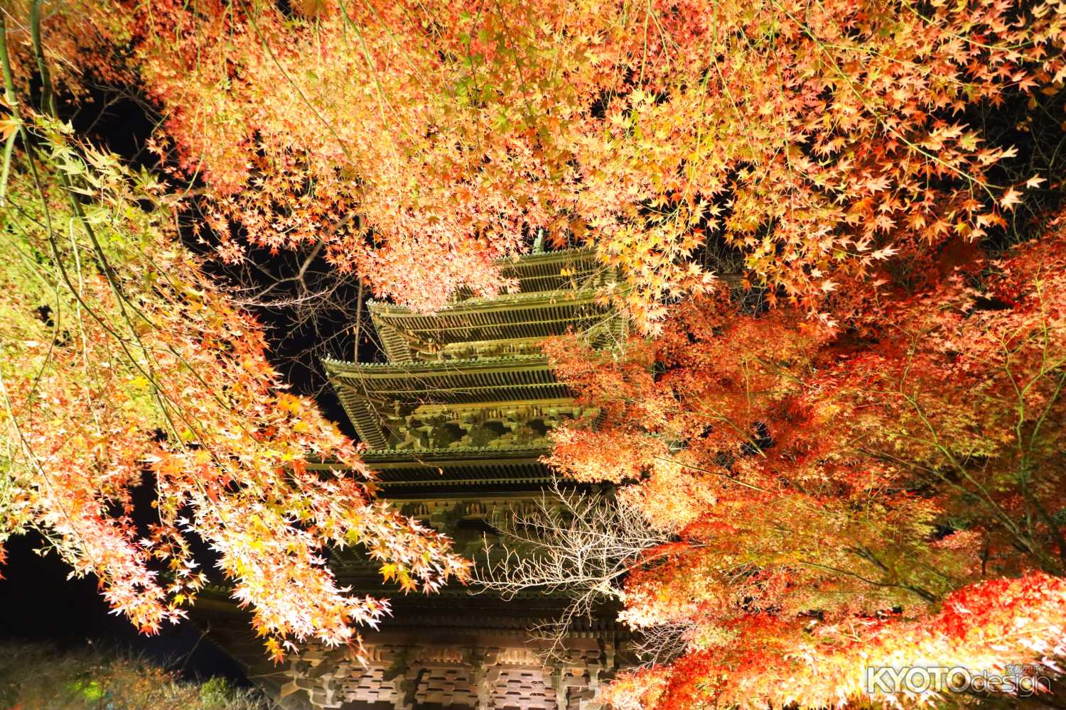 境内ライトアップと夜間特別公開