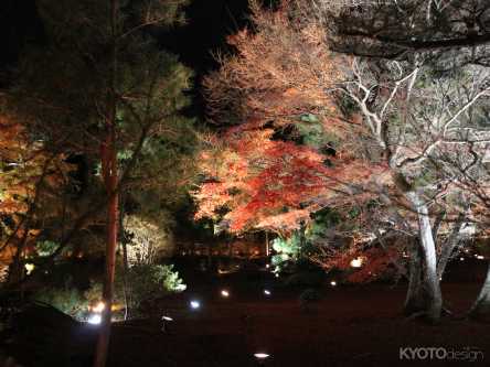 宝厳院 秋の夜間特別拝観