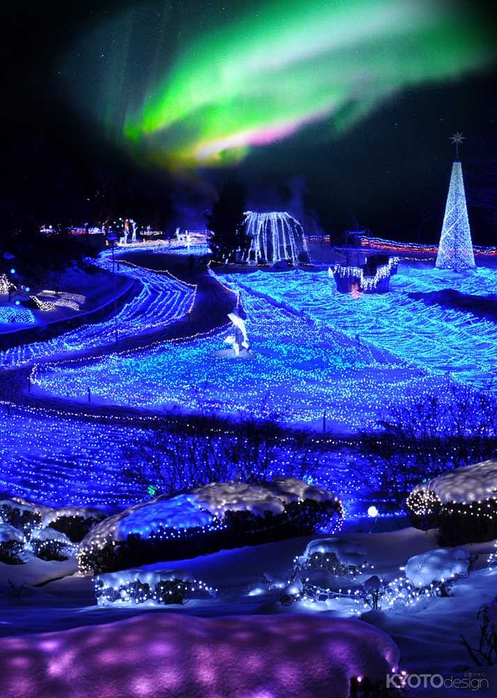  西日本初・京都最大！「京都イルミエール2013」 