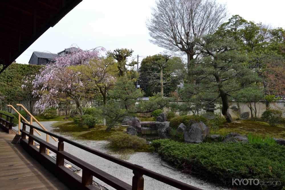建仁寺　正伝永源院　春の特別庭園公開