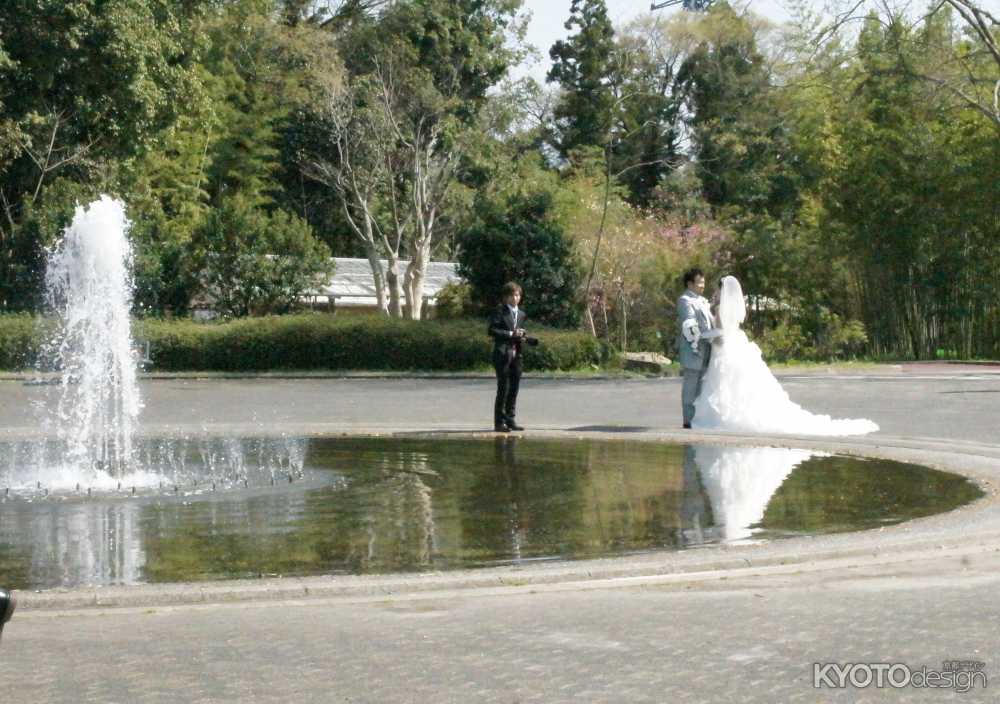 植物園 お茶といけばなの祭典2014