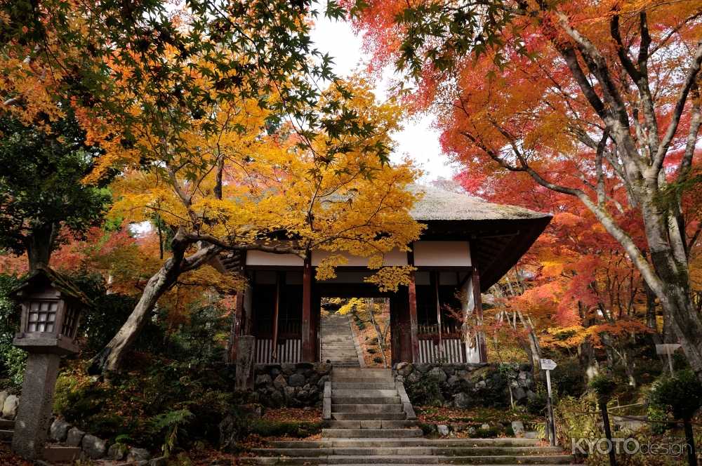 嵐山花灯路2014夜間特別拝観