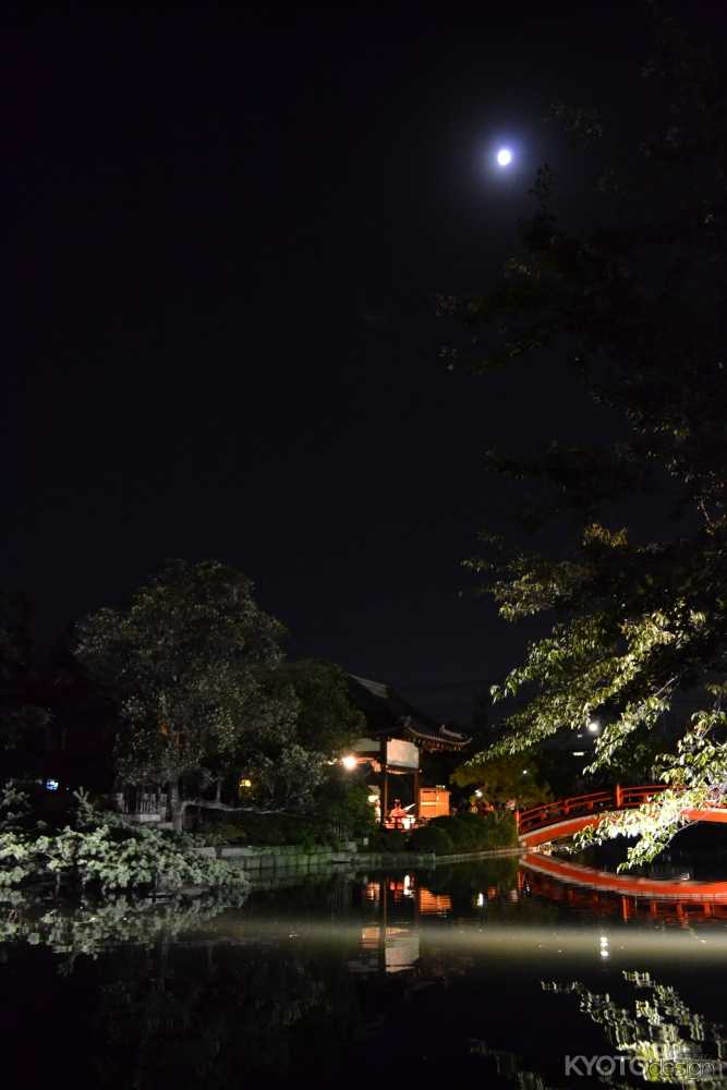 神泉苑「観月会」