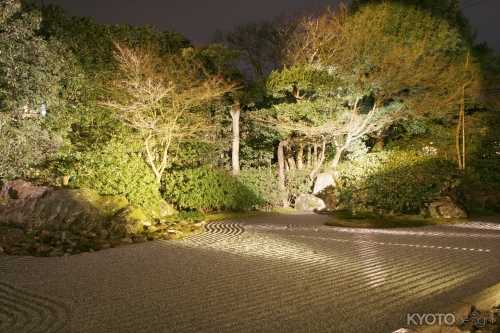 圓徳院　秋の特別展・ライトアップ