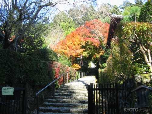 寂光院  秋期特別公開