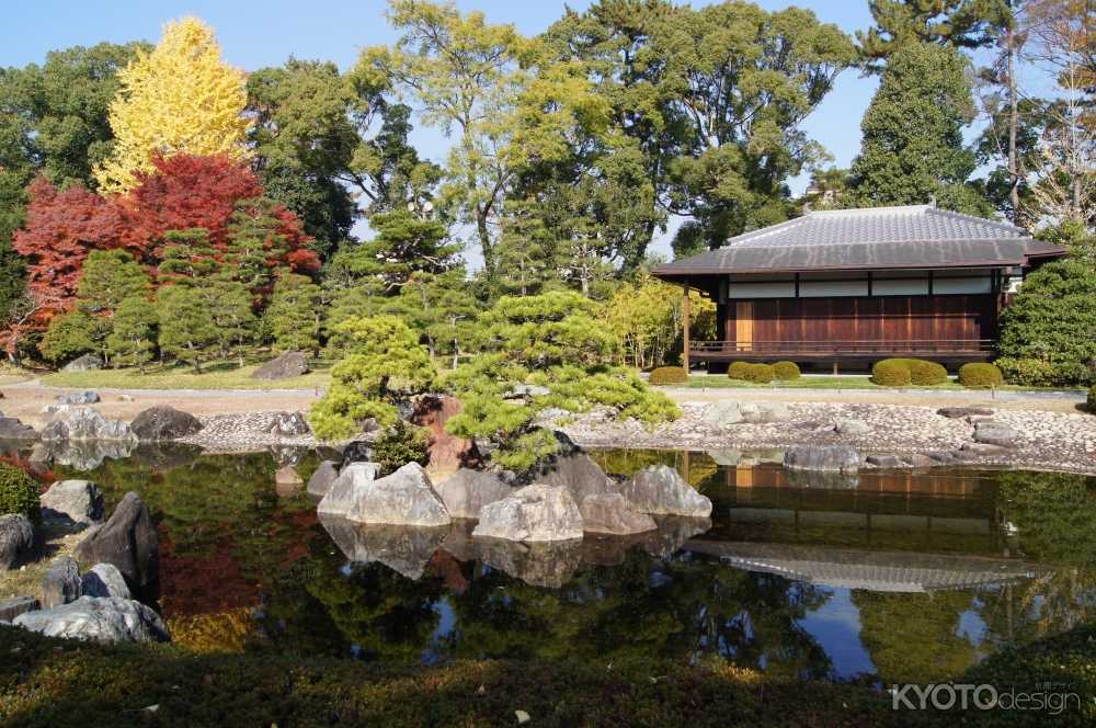 二条城観桜茶会