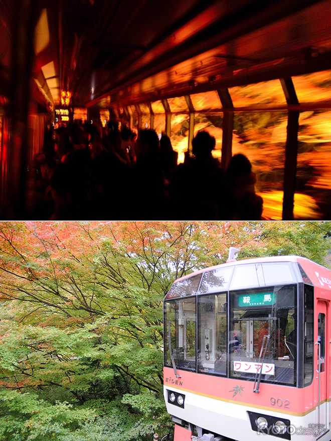 もみじのトンネルライトアップ