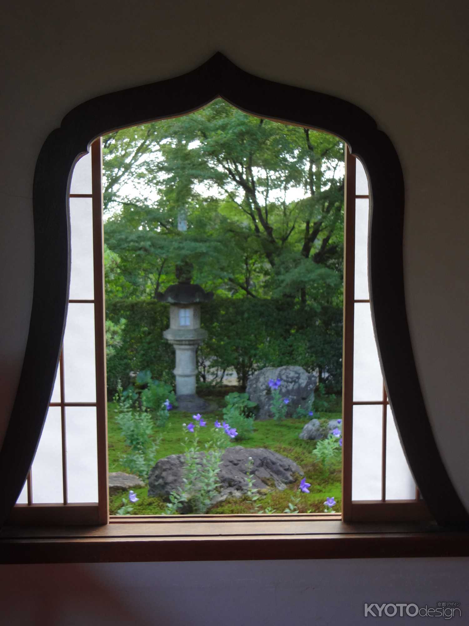 桔梗を愛でる特別拝観