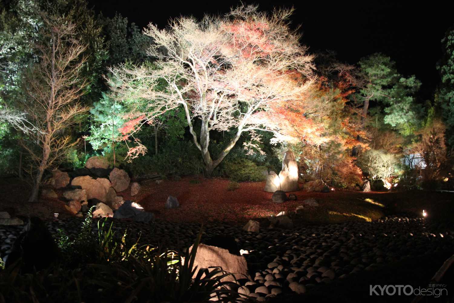 宝厳院 秋の夜間特別拝観