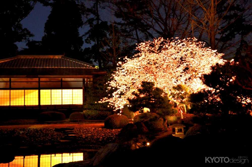 二条城ライトアップ