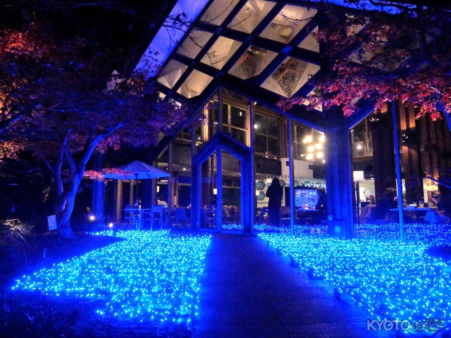 梅小路公園「緑の館｣内『京野菜レストラン梅小路公園』　冬のイルミネーション