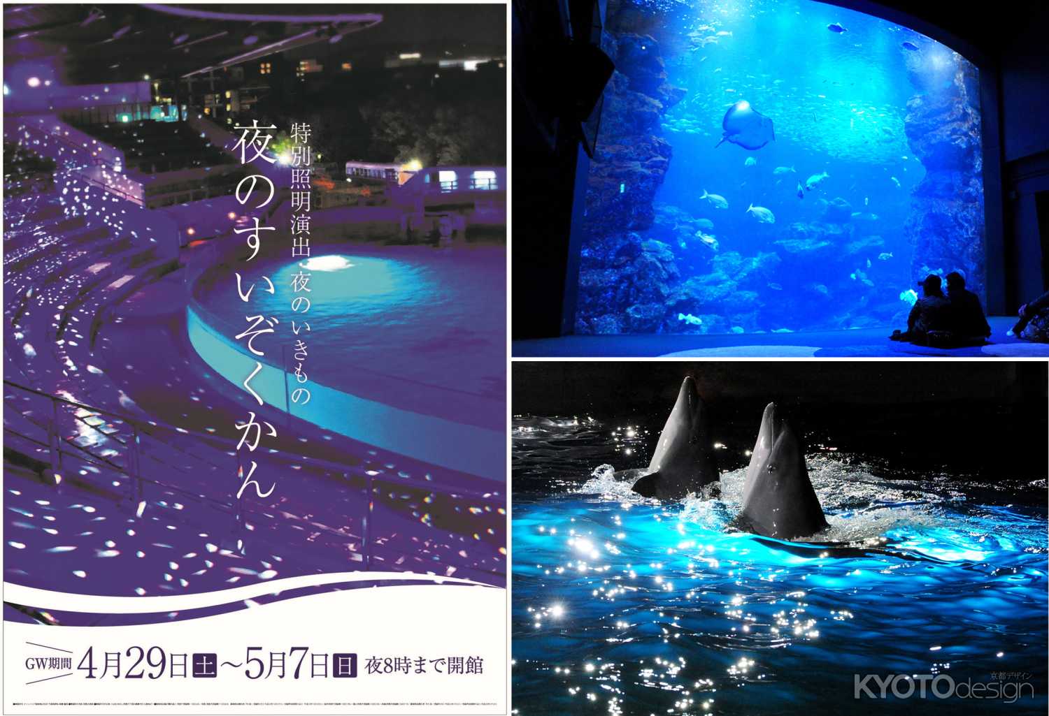 ゴールデンウィーク特別企画『夜のすいぞくかん』