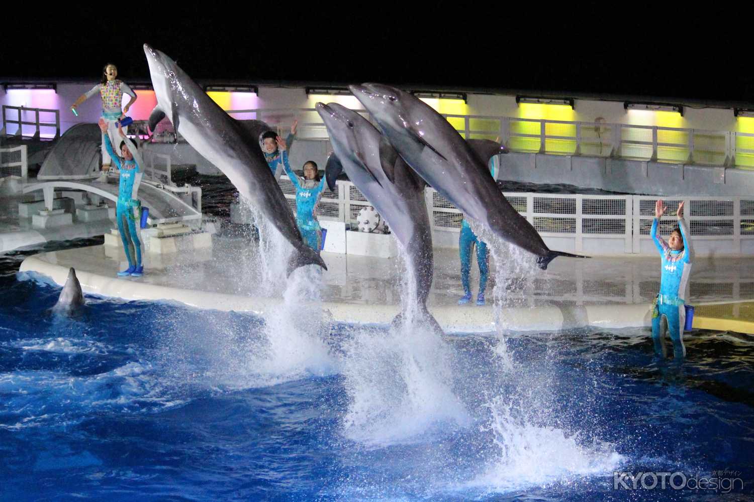 夏休み延長営業「夏の夜のすいぞくかん」