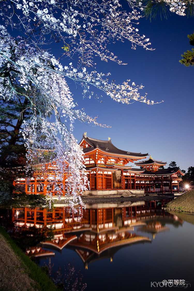 夜間特別拝観「瑞光照歓 〜春宵のあかり〜」