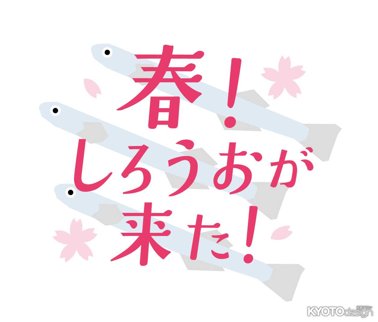 春！しろうおが来た！