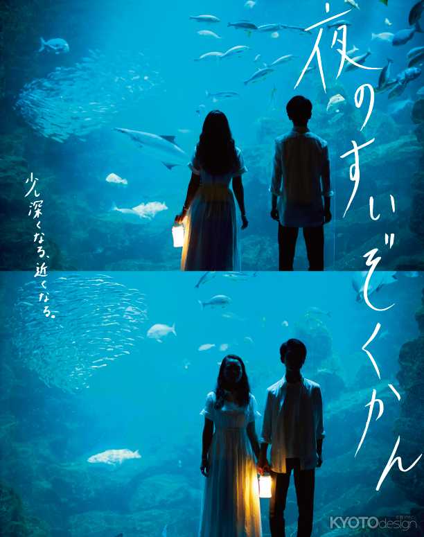 夜8時まで楽しめる夜限定イベント開催日を大幅拡大！「夜のすいぞくかん」