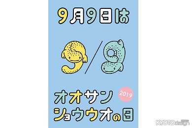 ９月９日はオオサンショウウオの日 2019
