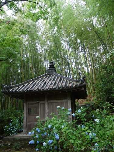 秋の特別行事 直指庵