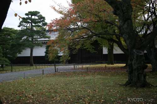 元離宮二条城＜式台＞はめ替え完了記念第1弾～式台の間の障壁画～