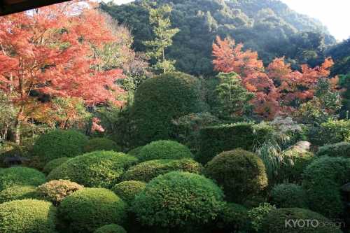 安楽寺 2012年度秋の特別公開